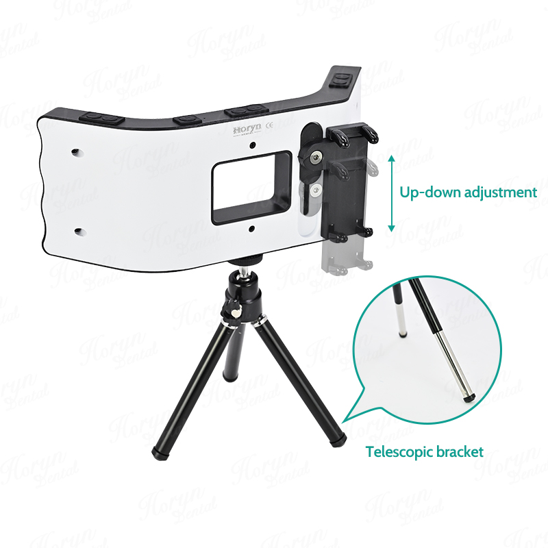 طقم تصوير الأسنان لأطباء الأسن - مراجعة Photography Lighting Gear وسعره
