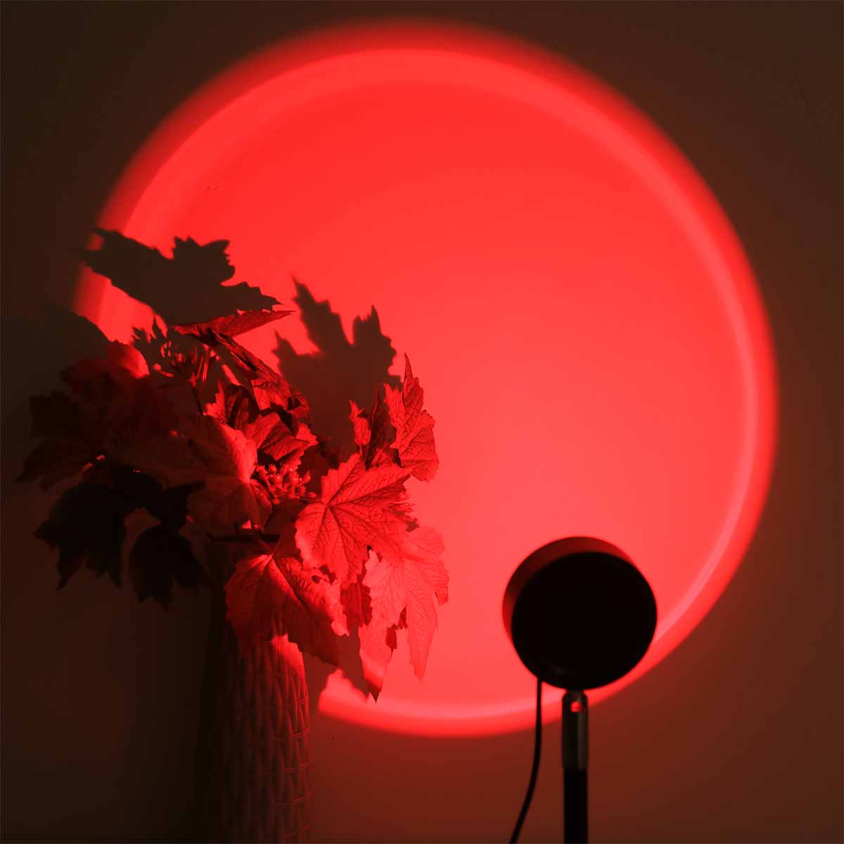 ضوء إسقاط غروب الشمس مع جهاز ت - مراجعة Photography Lighting Wall وسعره