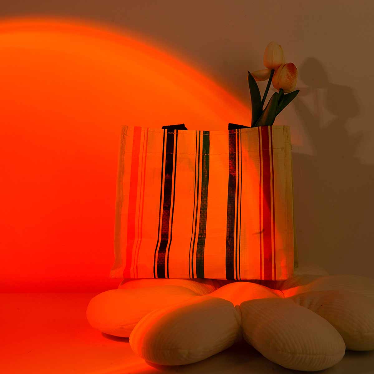 ضوء إسقاط غروب الشمس مع جهاز ت - مراجعة Photography Lighting Wall وسعره